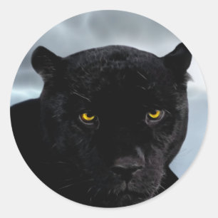Pegatina Redonda Pantera negra Panthera