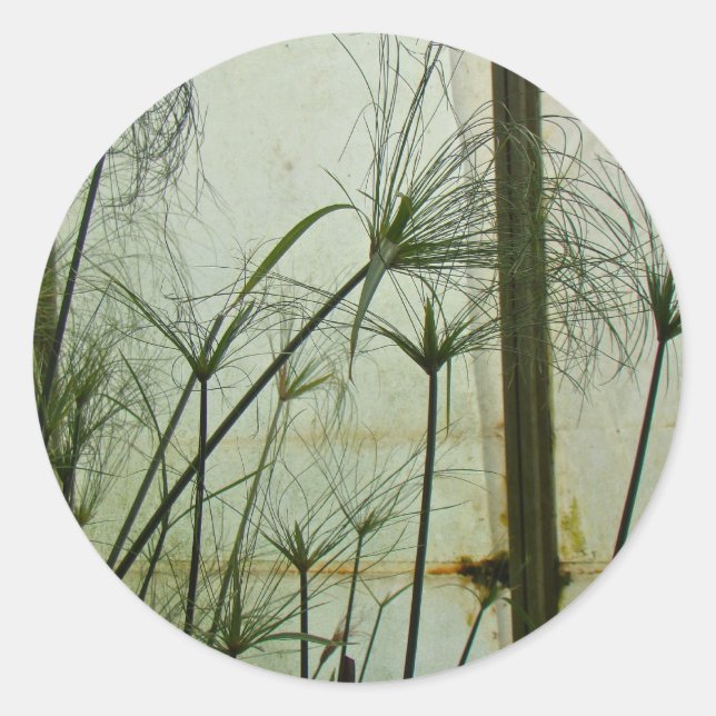 Pegatina Redonda Papiro (Anverso)