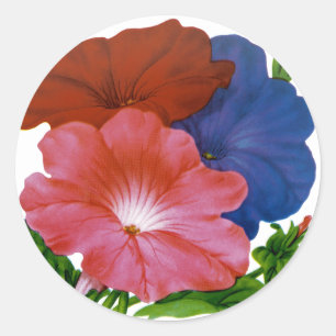 Pegatina Redonda Paquete de Semillas de Petunia Vintage