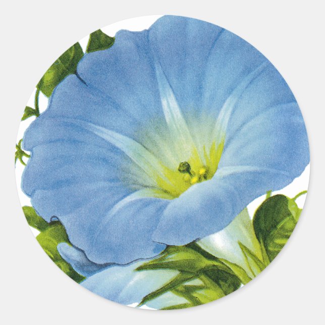 Pegatina Redonda Paquete Semilla Vintage de Glory (Anverso)