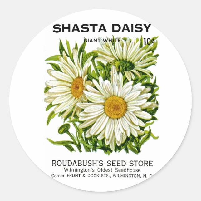Pegatina Redonda Paquete Shasta Daisy Vintage Seed (Anverso)