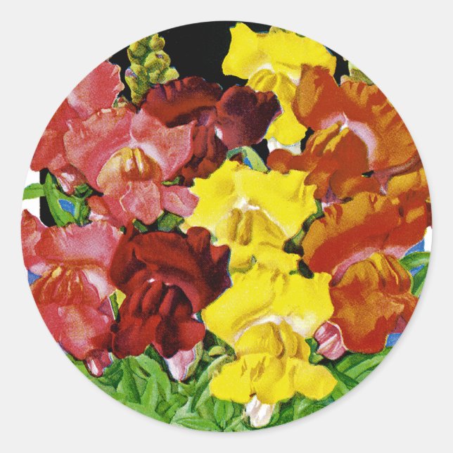 Pegatina Redonda Paquetes de semillas de Snapdragon Vintage (Anverso)