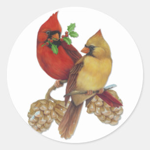 Pegatina Redonda Par cardinal