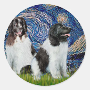 Pegatina Redonda Par de Terranova Landseer - Noche estrellada