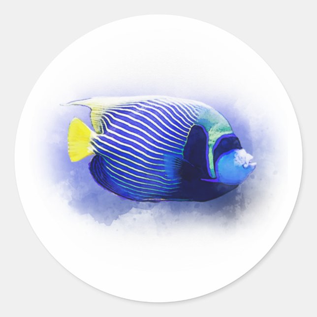 Pegatina Redonda Paraíso tropical Mar Azul Pescado acuático (Anverso)