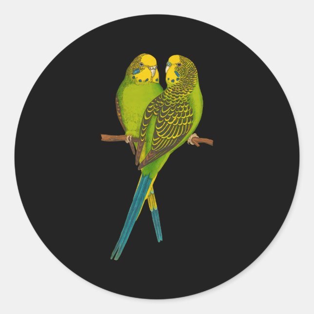 Pegatina Redonda Parakeet verde Parakeets Budgie Bird (Anverso)