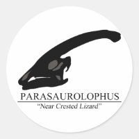 Parasaurolophus Skull