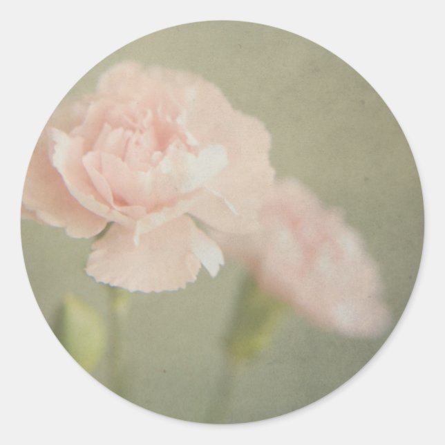 Pegatina Redonda parece que la esperanza es más rica (Anverso)