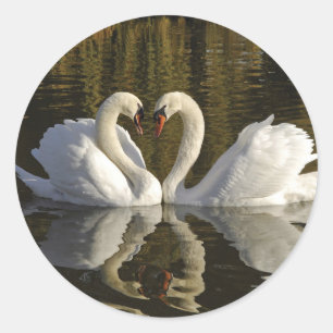 Pegatina Redonda Pareja de cisnes