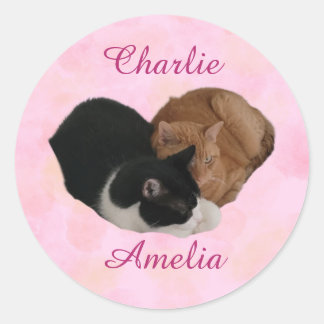 Pegatina Redonda Pareja de Gatos Tus Nombres
