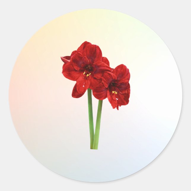 Pegatina Redonda Pareja de Red Amaryllis (Anverso)