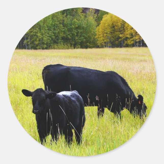 Pegatina Redonda Pareja negra de ángulos en campo (Anverso)