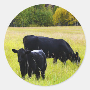 Pegatina Redonda Pareja negra de ángulos en campo
