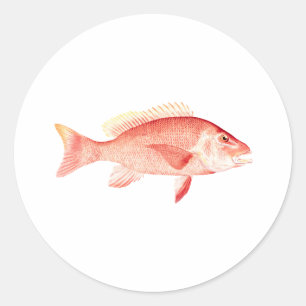 Pegatina Redonda Pargo rojo