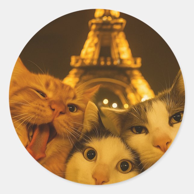 Pegatina Redonda Paris Night Cat Selfie Squad Lover                 (Anverso)
