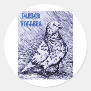 Pegatina Redonda Parlor Roller Pigeon