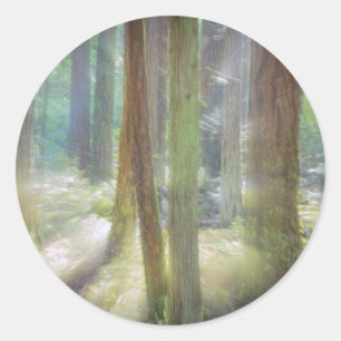 Pegatina Redonda Parque Estatal Scenic Beach