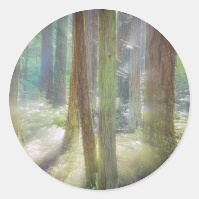 Pegatina Redonda Parque Estatal Scenic Beach (Anverso)