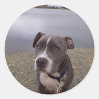 Pegatina Redonda Parque Koa Vasona