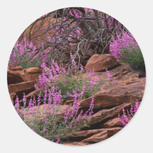 Pegatina Redonda Parque Nacional Capitol Reef, Utah, EE. UU.