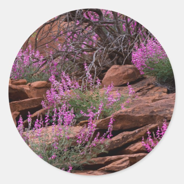 Pegatina Redonda Parque Nacional Capitol Reef, Utah, EE. UU. (Anverso)