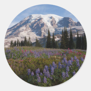 Pegatina Redonda Parque Nacional del Monte Rainier, Monte Rainier 3