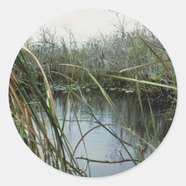 Pegatina Redonda Parque nacional Everglades (Anverso)