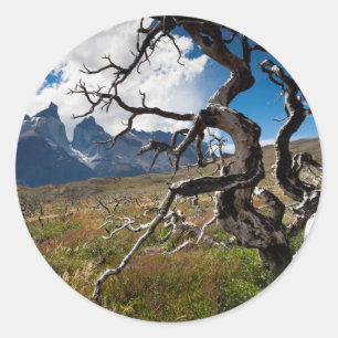 Pegatina Redonda Parque Nacional Torres del Paine, árboles dañados