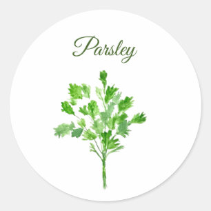 Pegatina Redonda Parsley Herbs Watercolor Cocina Culinaria Verde