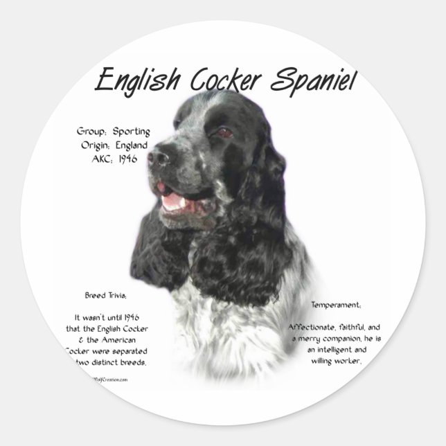 Pegatina Redonda Parti English Cocker Spaniel History (Anverso)