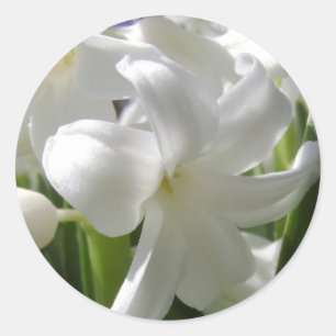 Pegatina Redonda Pascua blanca Lilly