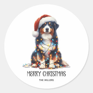 Pegatina Redonda Pastor australiano envuelto en luz de Navidades