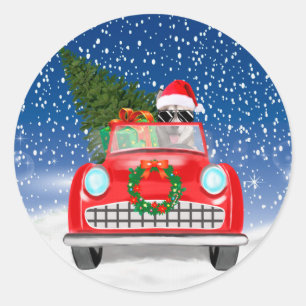 Pegatina Redonda Pastor Siberiano conduciendo coche en Navidad con
