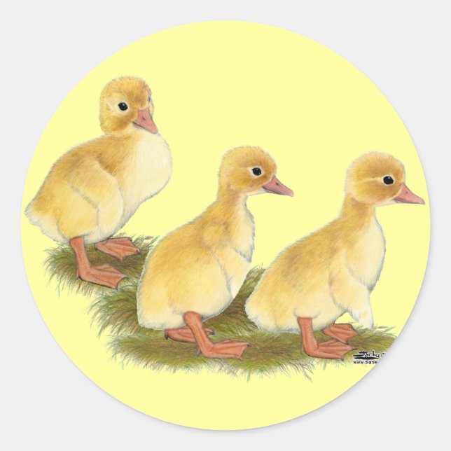 Pegatina Redonda Patitos amarillos (Anverso)