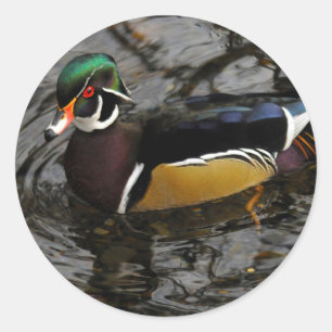 Pegatina Redonda Pato De Madera Masculina En Crystal Springs Rhodod
