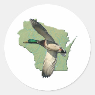 Pegatina Redonda Pato de Wisconsin