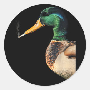 Pegatina Redonda Pato real fumando cigarrillo meme divertido pato r