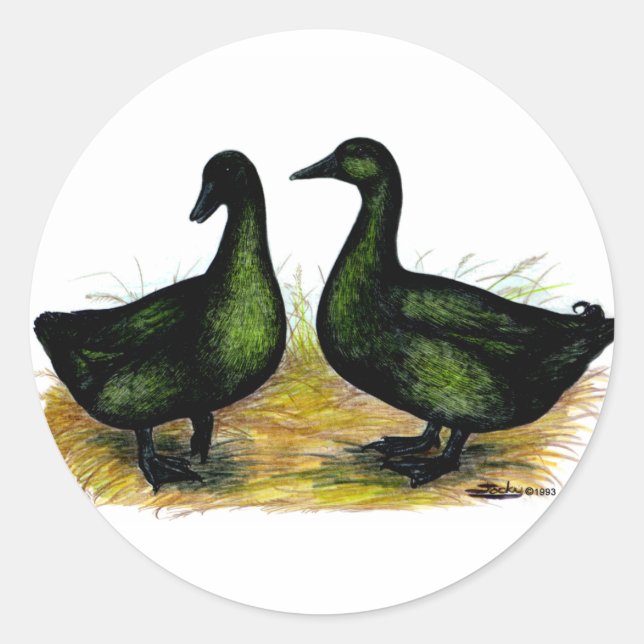 Pegatina Redonda Patos: Cayuga Pair (Anverso)