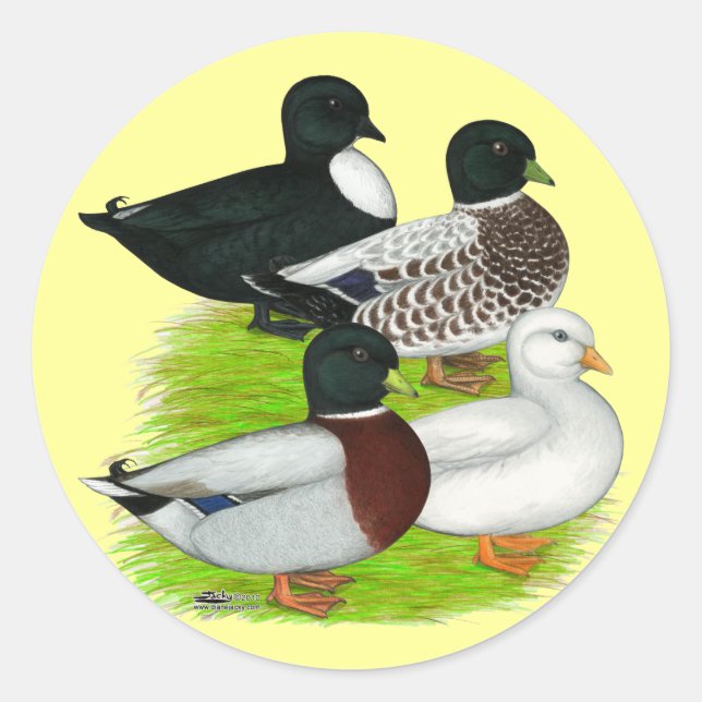 Pegatina Redonda Patos: Llamar al Cuarteto (Anverso)