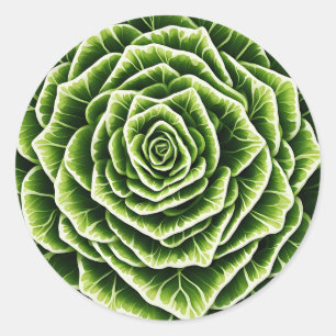 Pegatina Redonda Patrón de lechuga geométrica que combina la natura