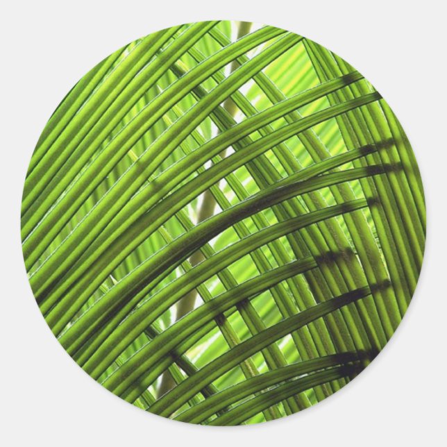 Pegatina Redonda Patrón tropical (Anverso)