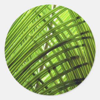 Pegatina Redonda Patrón tropical