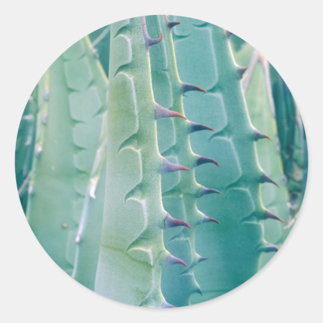 Pegatina Redonda Patrones de una planta de Agave (Anverso)