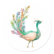 Pavo real acuarela