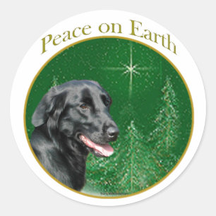 Pegatina Redonda Paz de recuperación plana