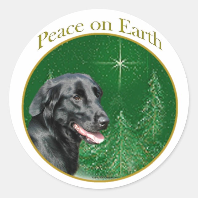 Pegatina Redonda Paz de recuperación plana (Anverso)