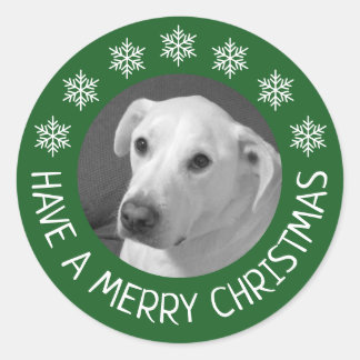 Pegatina Redonda Peaceful White Dog Photo Merry Christmas Green
