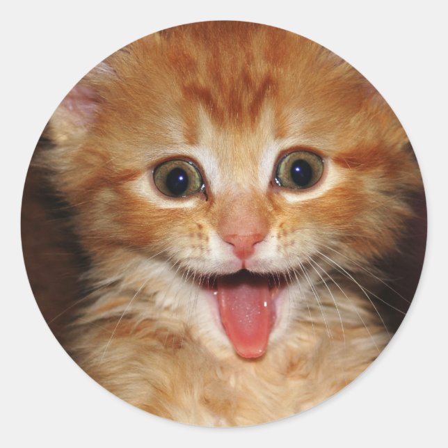 Pegatina Redonda peach kitty (Anverso)