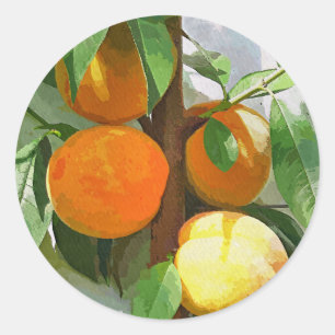 PEGATINA REDONDA PEACHES