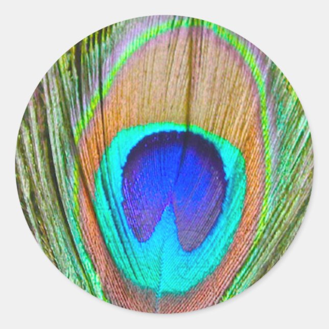 Pegatina Redonda Peacock (Anverso)